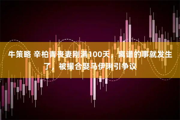 牛策略 辛柏青丧妻刚满100天，离谱的事就发生了，被撮合娶马伊琍引争议