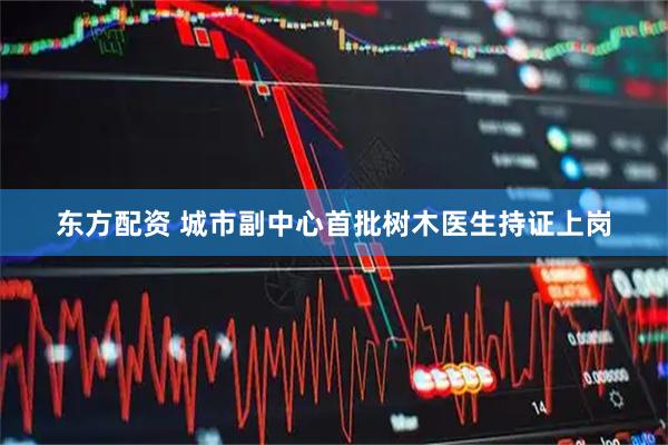 东方配资 城市副中心首批树木医生持证上岗