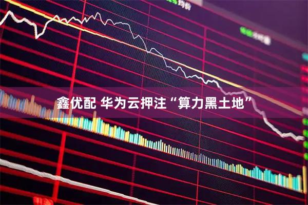 鑫优配 华为云押注“算力黑土地”