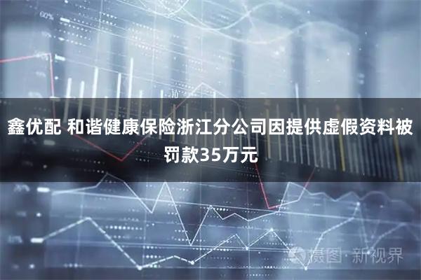 鑫优配 和谐健康保险浙江分公司因提供虚假资料被罚款35万元