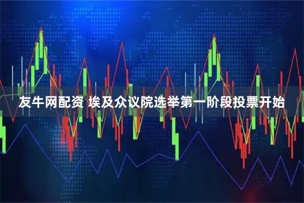 友牛网配资 埃及众议院选举第一阶段投票开始