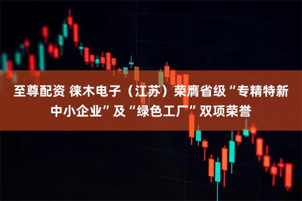 至尊配资 徕木电子（江苏）荣膺省级“专精特新中小企业”及“绿色工厂”双项荣誉