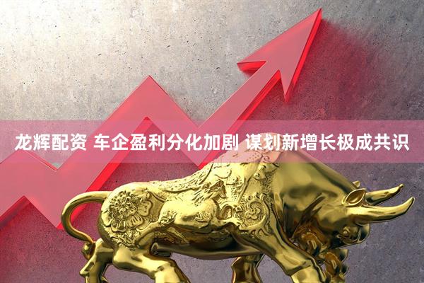 龙辉配资 车企盈利分化加剧 谋划新增长极成共识